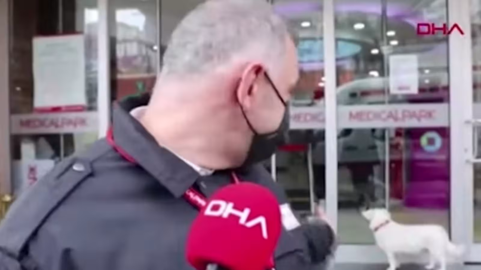 Un chien attend pendant des jours devant l’hôpital où son maître a été admis