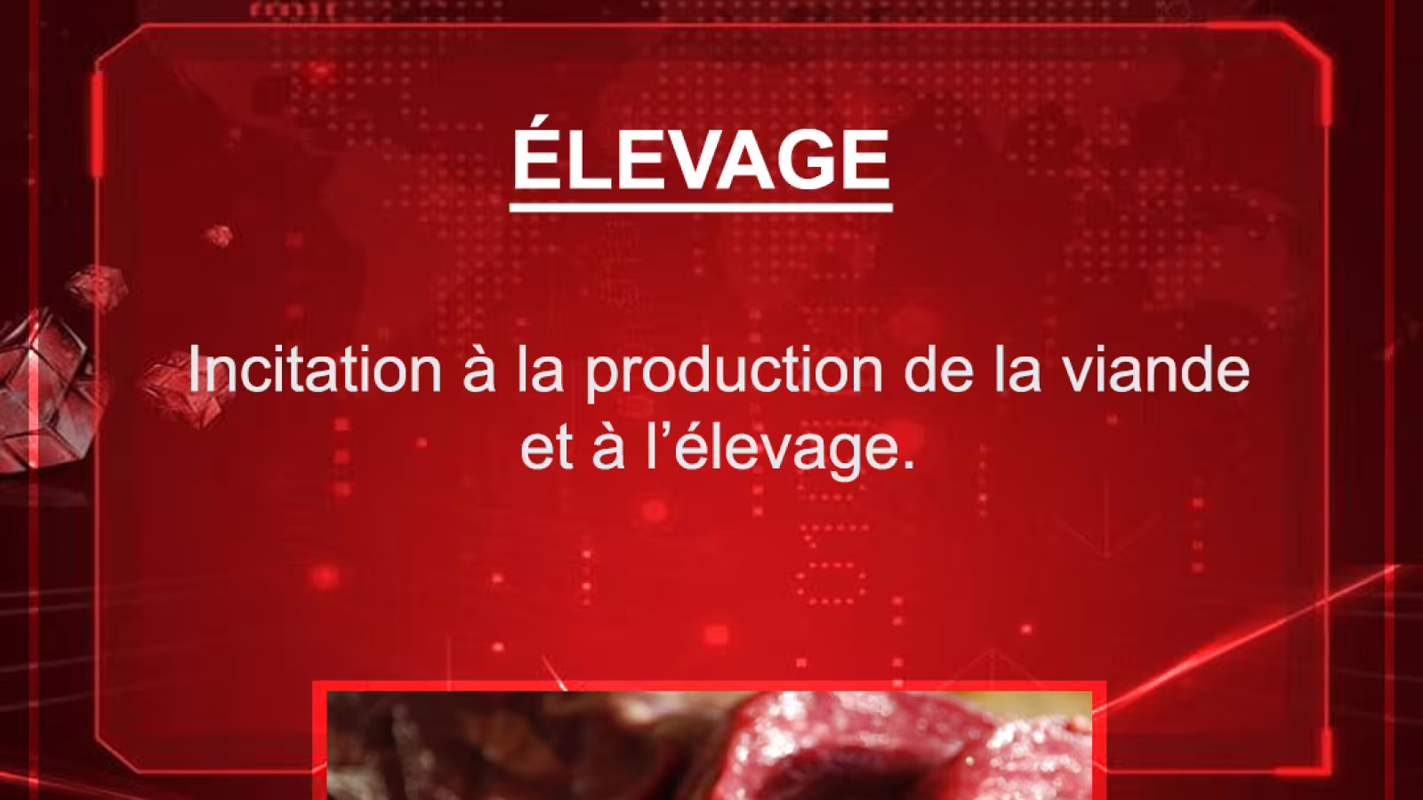 Budget 2021-2022 : Incitation à la production de la viande et à l’élevage
