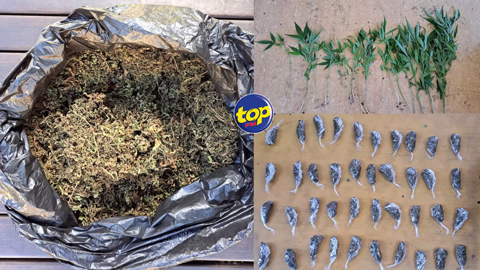 À Bel Ombre : un homme de 45 ans arrêté pour trafic de cannabis