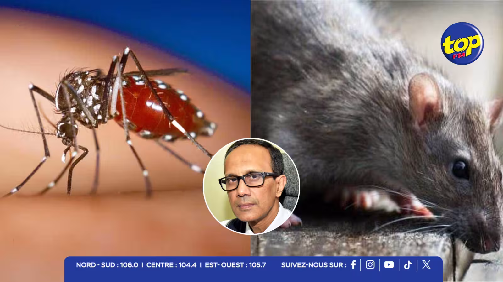 Santé : Chikungunya 977 cas, leptospirose 13 cas depuis janvier : la vigilance reste de mise face aux pluies récentes