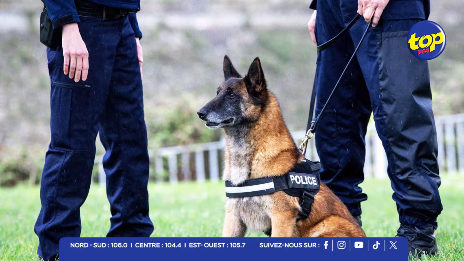 Flic-en-Flac : un chien renifleur mène à une cache contenant Rs 2,9 millions
