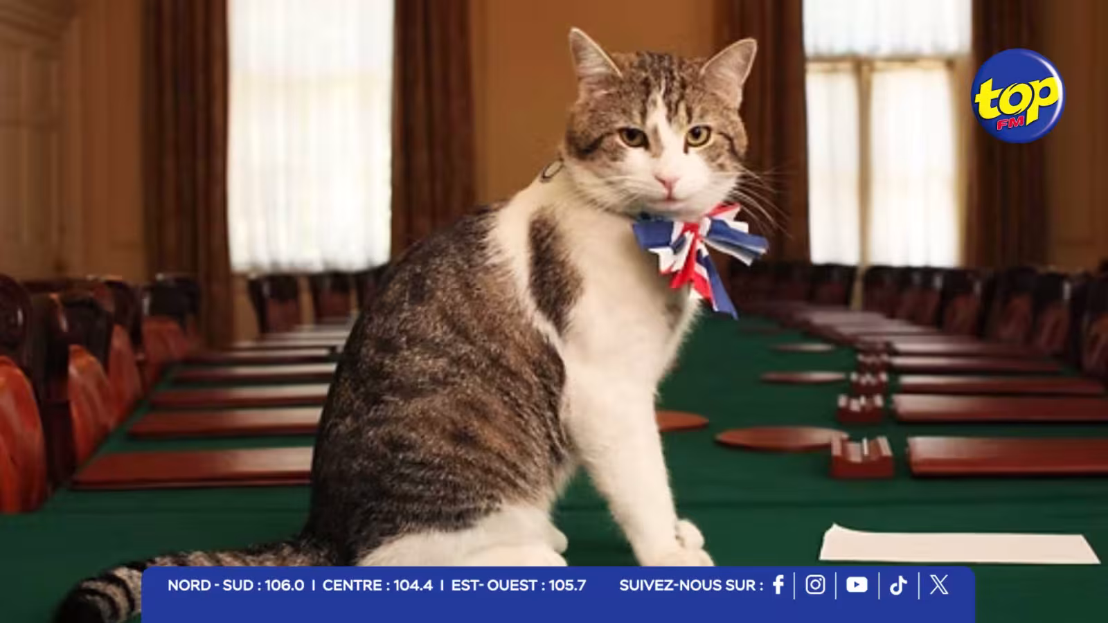 Royaume-Uni : Larry le chat s’apprête à accueillir un septième Premier ministre
