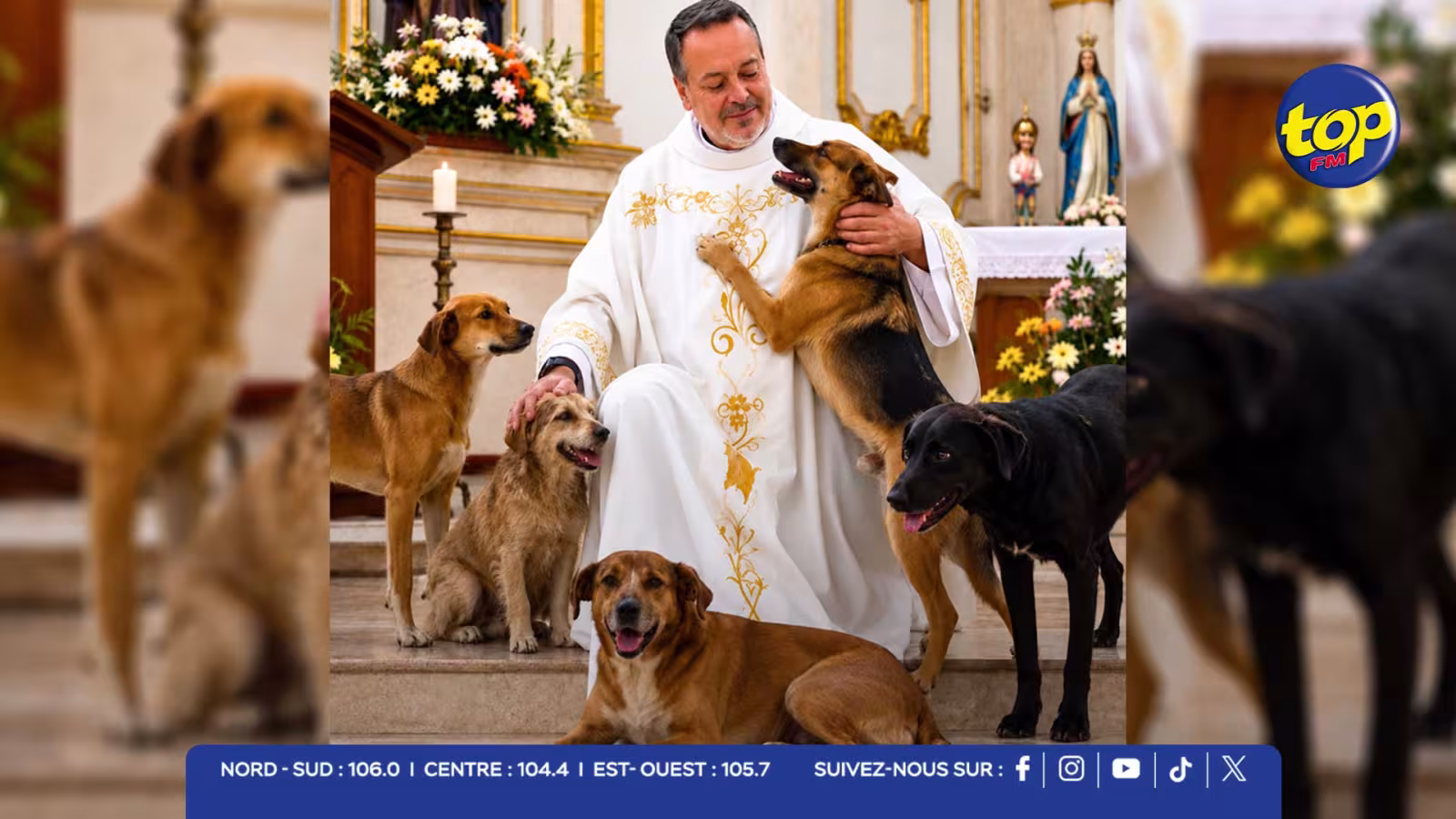 Saint-François d’Assise : le père João Paulo Gomez, célèbre « prêtre des chiens errants », attendu à Maurice 