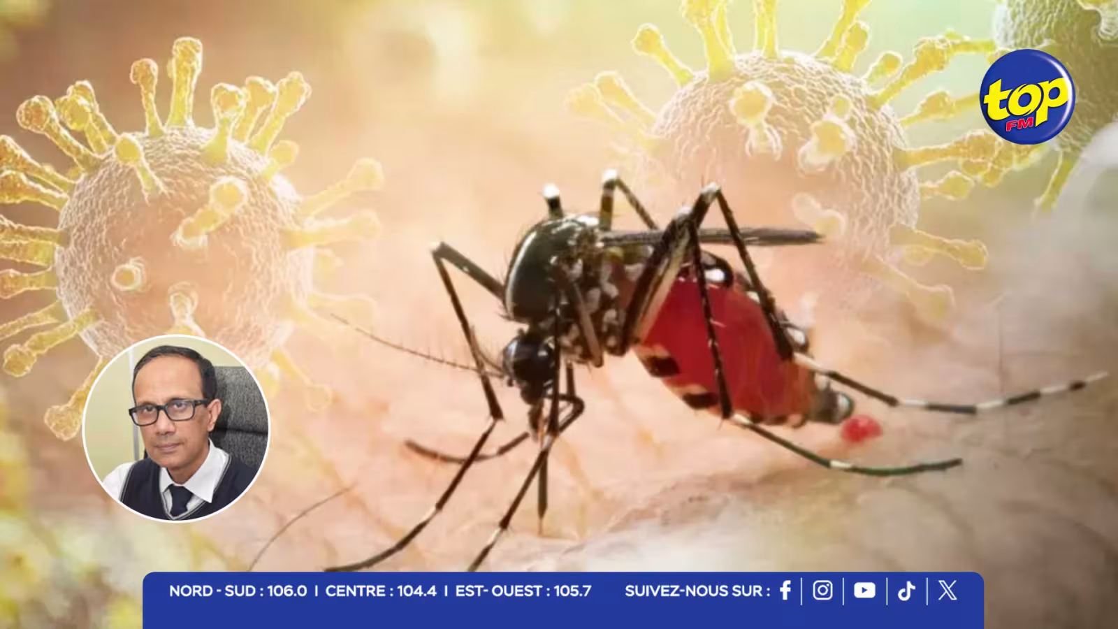 Chikungunya : 1 577 cas recensés depuis le début de l’année, 59 nouveaux cas enregistrés hier