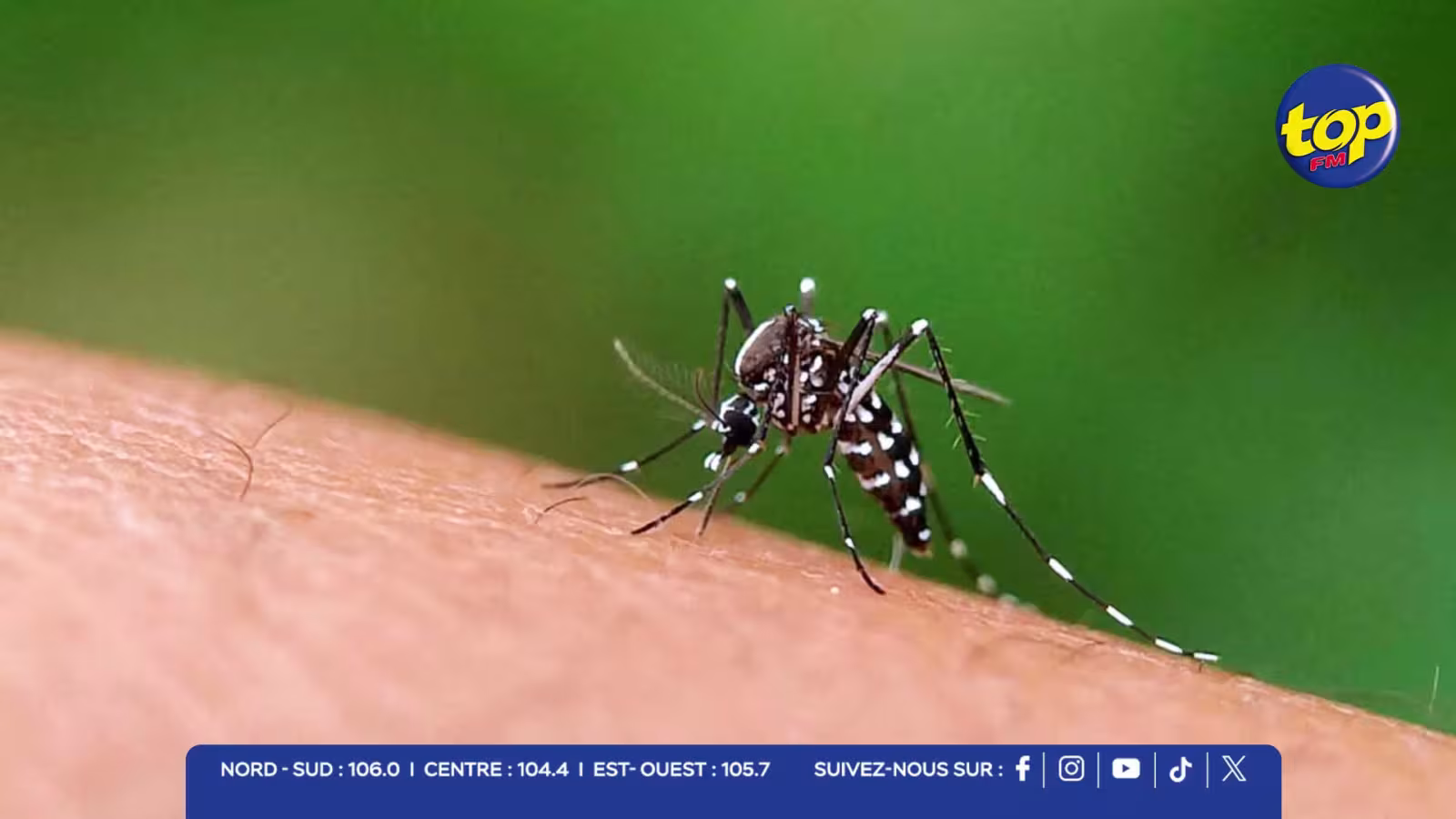 Chikungunya : un troisième cas enregistré, un adolescent de Résidence La Cure admis à l’hôpital