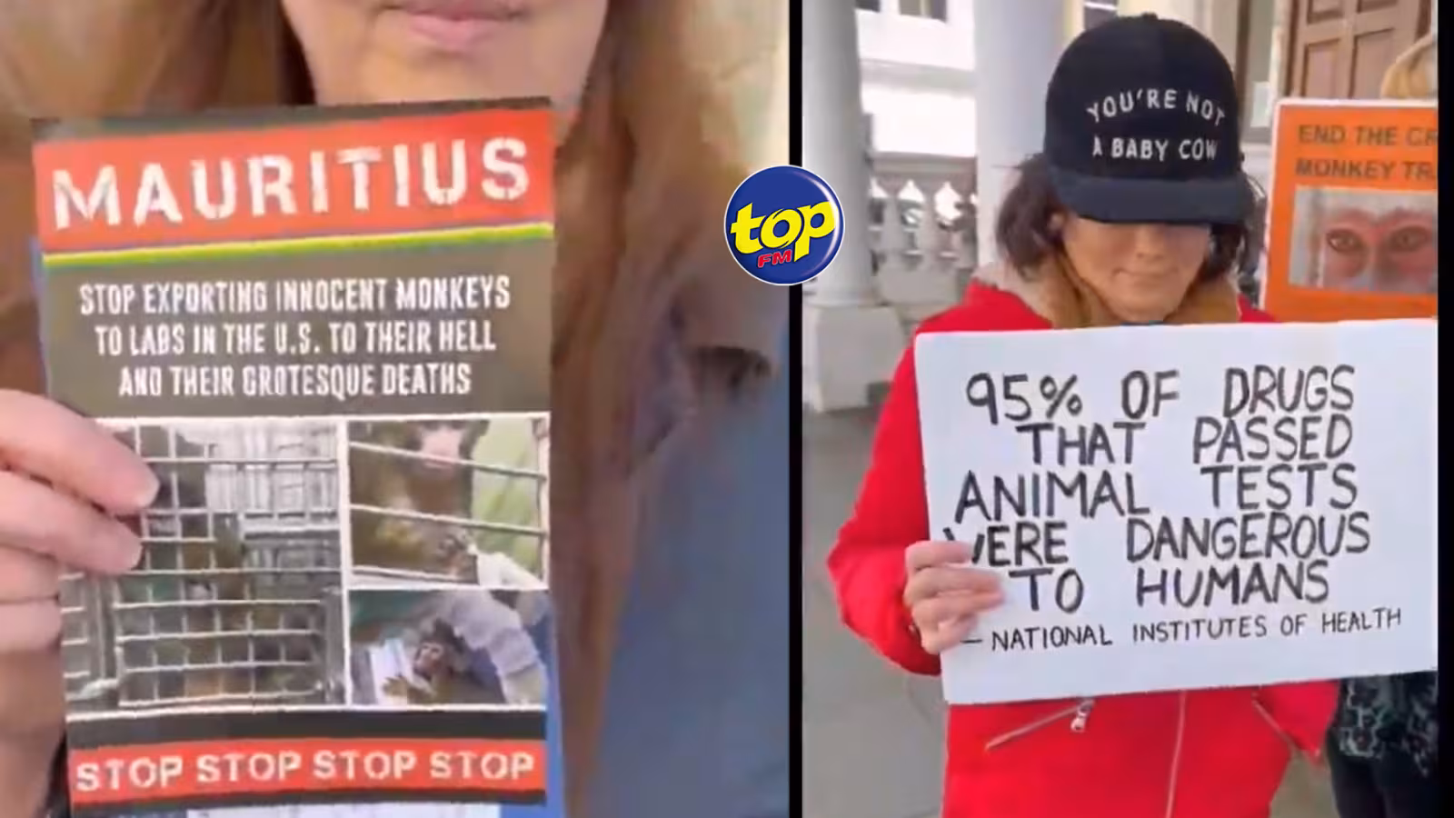 Manifestation contre le commerce des singes à Maurice : « Nous appelons l’ambassade de Maurice à prendre en compte l’opinion mondiale…les singes sont torturés, c’est totalement grotesque et obscène… le nom de l’île Maurice est terni… il faut que ça s’arrête », martèle l’activiste britannique, Richard Bannan