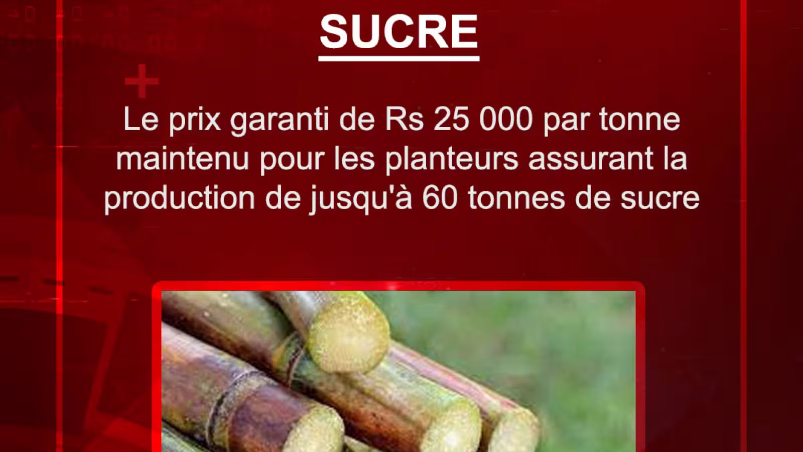 Sucre : le prix garanti de Rs 25 000 par tonne maintenu pour les planteurs assurant la production de jusqu’à 60 tonnes de sucre