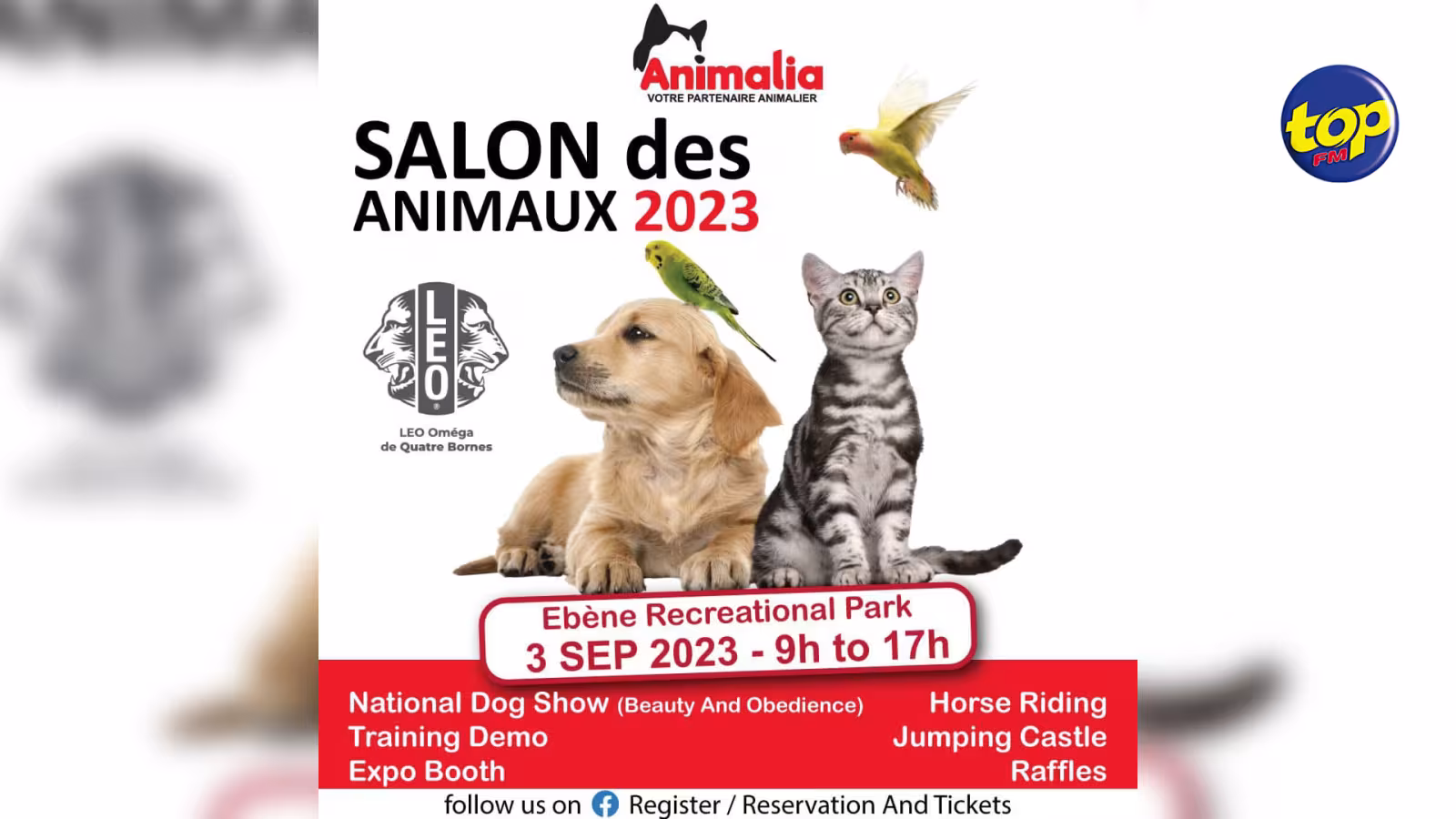 Salon des Animaux ce dimanche à Ébène : « Venez célébrer votre amour pour les animaux ce dimanche », invite Del Ghurburrun