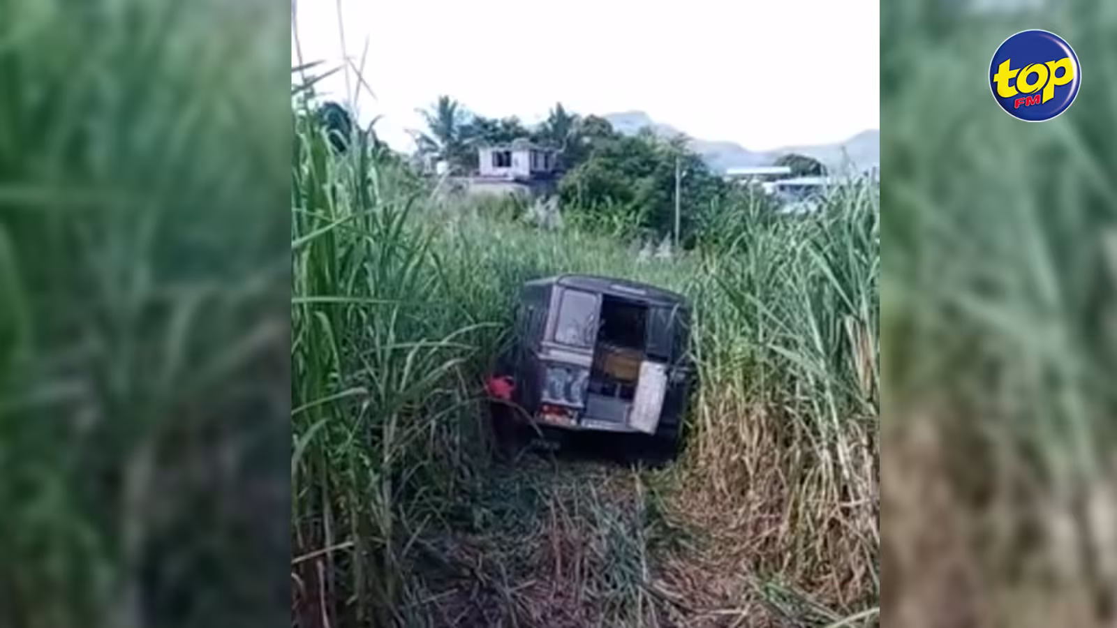 Accident à Clavet, Sebastopol : un conducteur perd le contrôle de son autobus qui termine sa course dans un champ de cannes