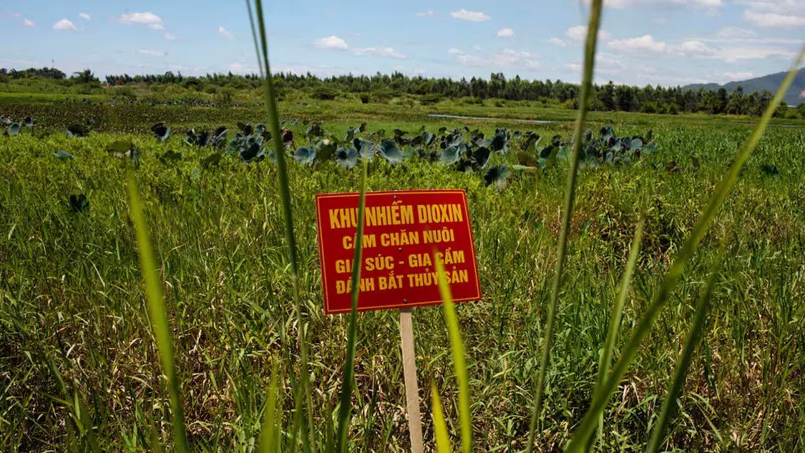 Procès de l’Agent Orange : les géants de l’agrochimie nient toute forme de responsabilité