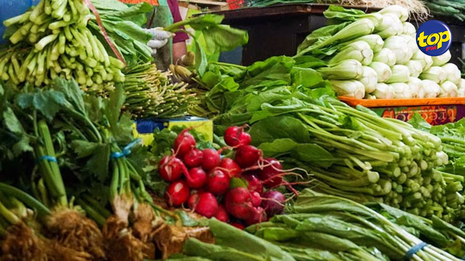 Vente à l’encan : Le National Wholesale Market opérationnel en juillet prochain