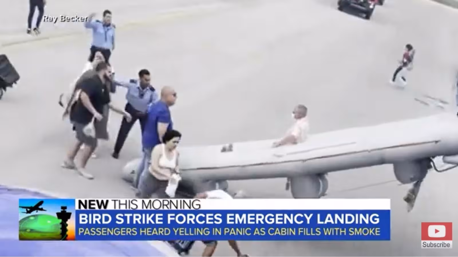 Atterrissage d’urgence d’un avion après une ‘attaque’ d’oiseaux