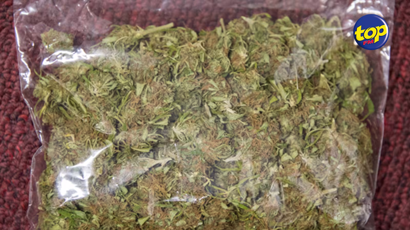 A Réduit: un homme de 46 ans arrêté avec 274 grammes de cannabis