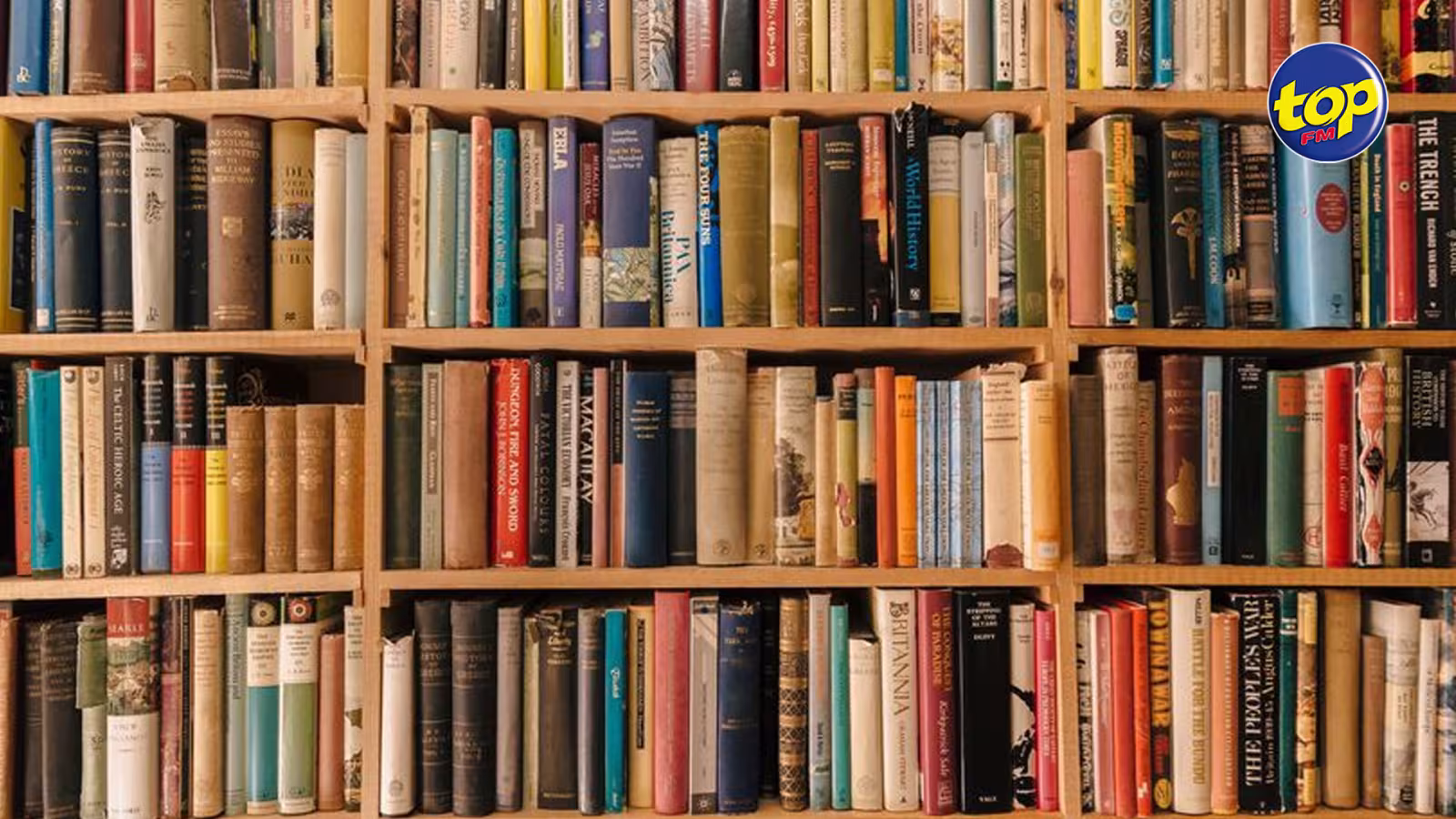 Dans la région des Plaines Wilhems : la Bibliothèque nationale se cherche un nouveau siège