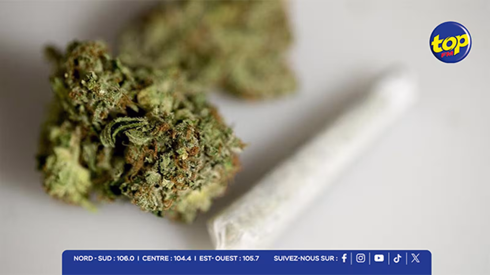 Trafic et culture de cannabis : plusieurs saisies et perquisitions à travers l’île dans une opération de l’ADSU 