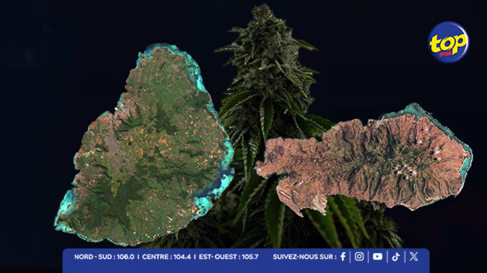 Trafic de cannabis Maurice-Rodrigues : 862 plants saisis en 48 heures par l’ADSU