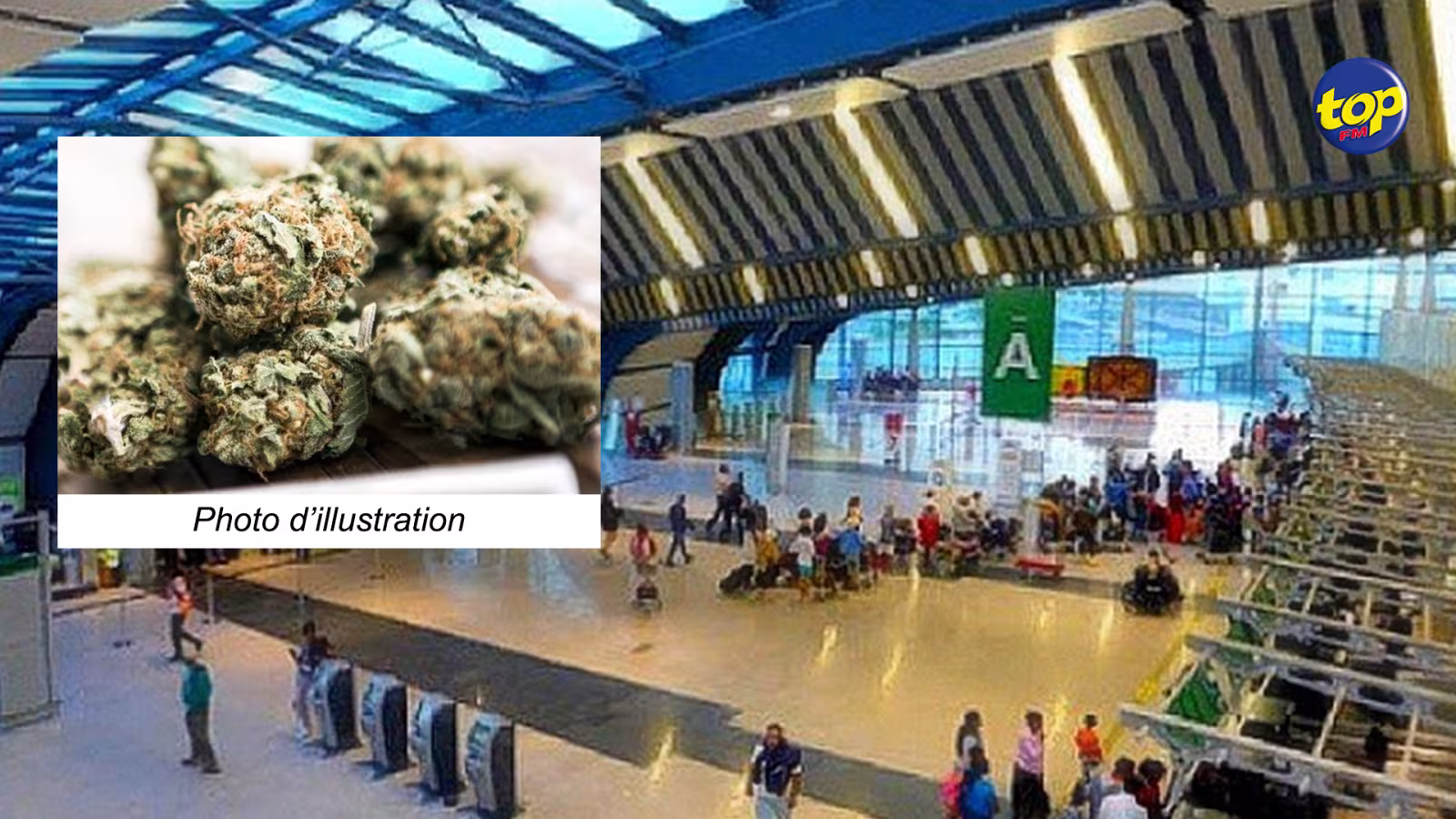 Trafic de drogue : Saisie de 380 grammes de cannabis à l’aéroport