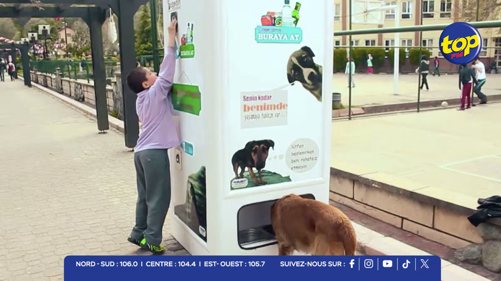 En Grèce : Des distributeurs automatiques et écologiques pour nourrir les animaux errants 