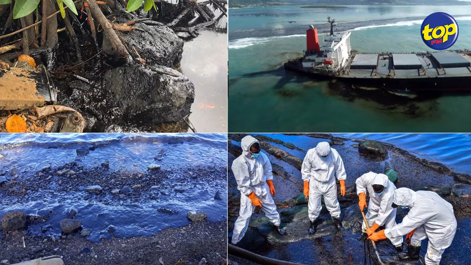 Affectés par le déversement d’huile dans le Sud-est : Les pêcheurs, plaisanciers et banians recevront un solidarity grant de Rs 10, 200