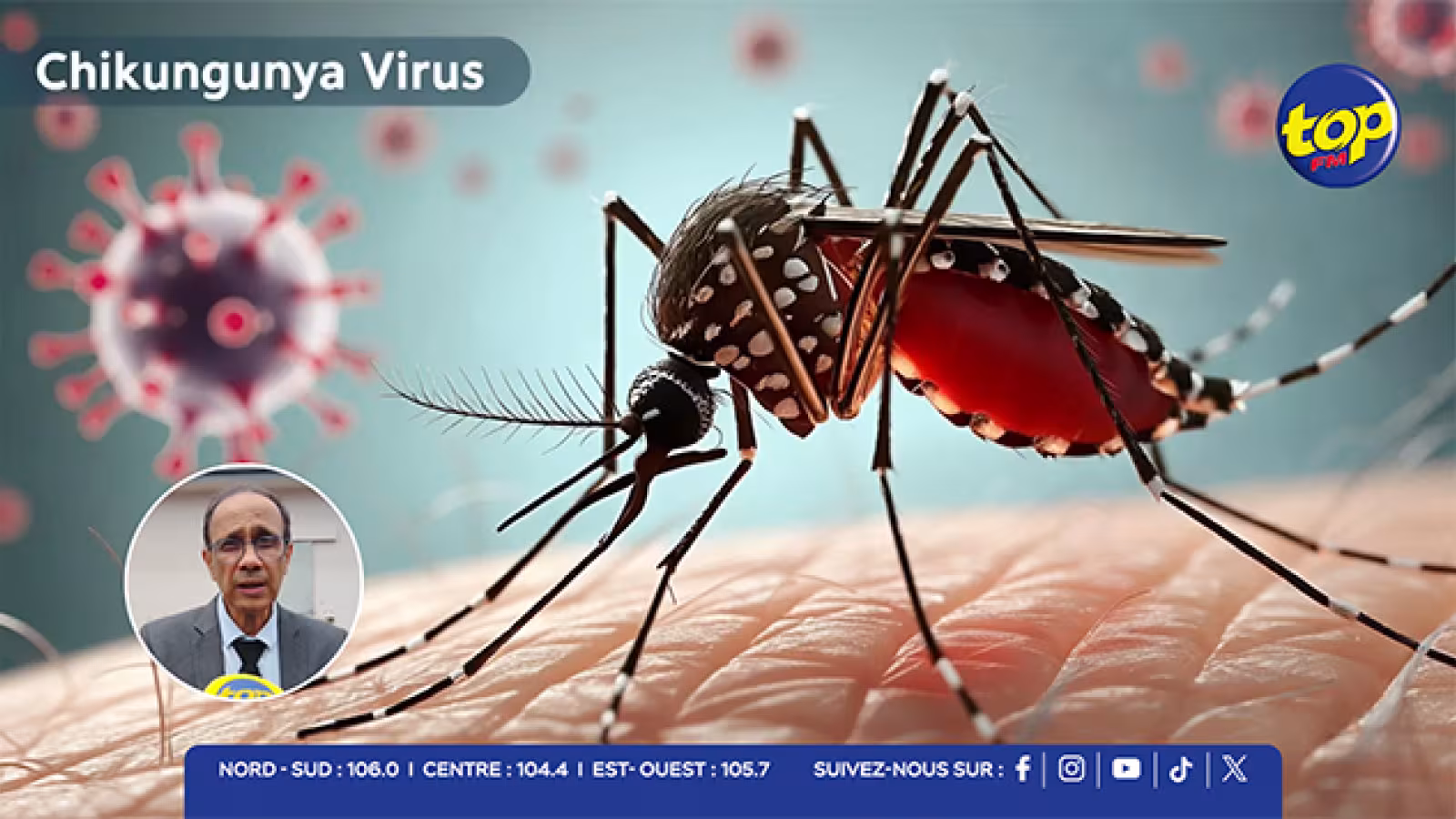 Chikungunya : 26 cas, 5 locaux, mesures renforcées dans les zones à risque