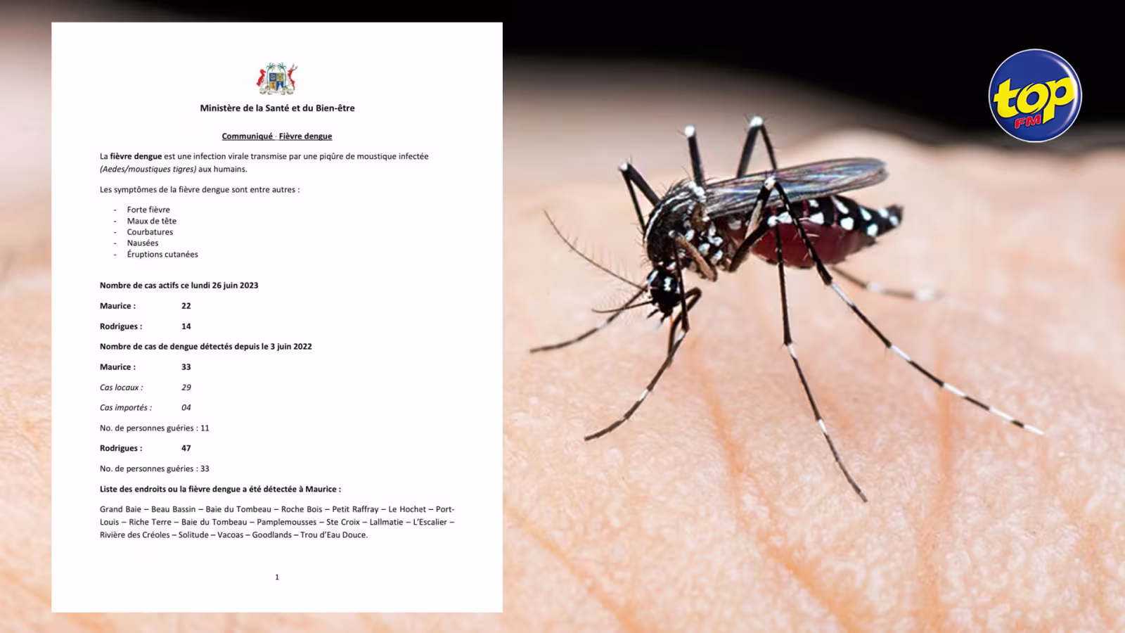 Dengue :  Maurice dépasse Rodrigues dans le nombre de personnes infectées par la maladie