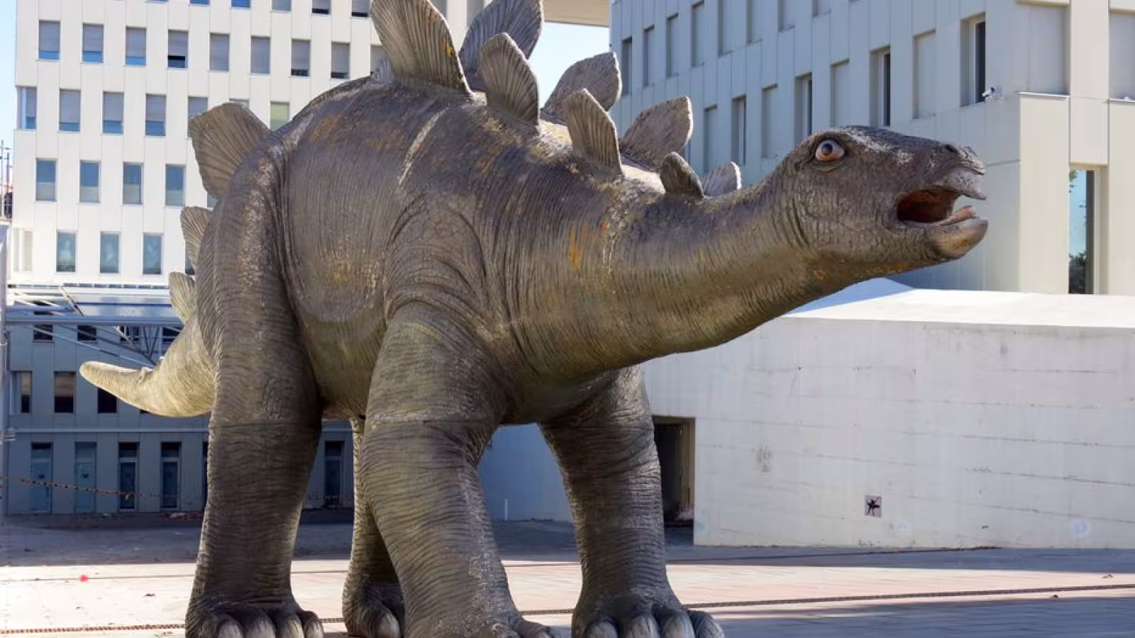Un embryon fossilisé extraordinairement préservé de dinosaure découvert en Chine
