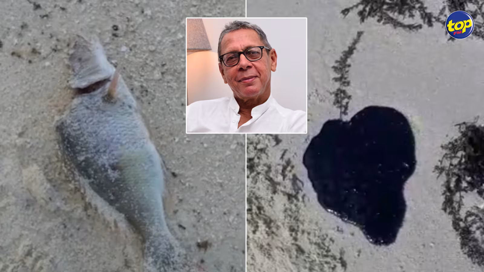 Traces d’huile et poissons morts découverts sur la plage de Pointe d’Esny : ” Fort probable que le carburant provienne de la salle des machines du Wakashio qui se trouve toujours sous l’eau” avance Alain Malherbe