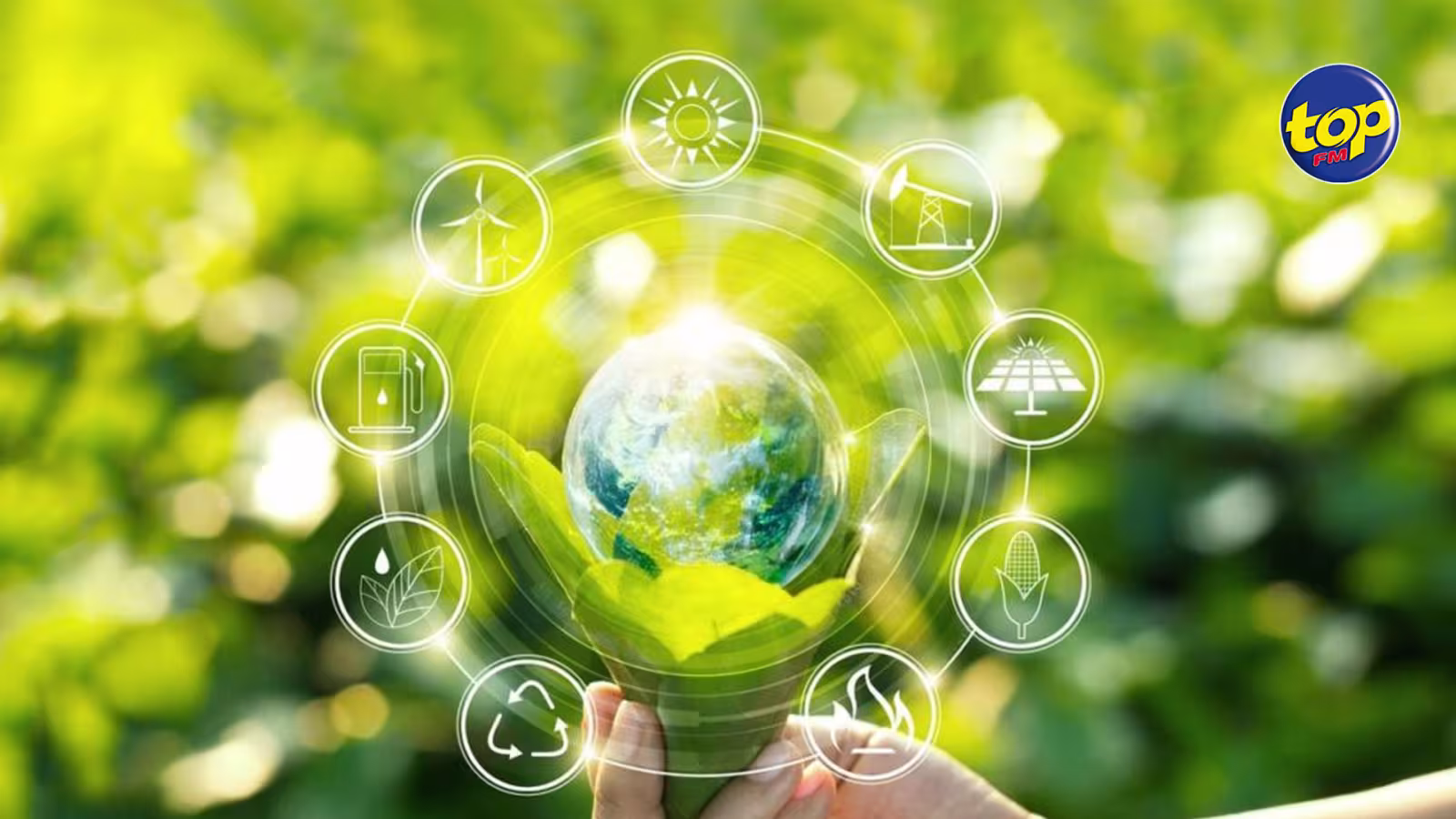 Énergie renouvelable : Un Permit and Licences Fast Track and Facilitation Committee institué