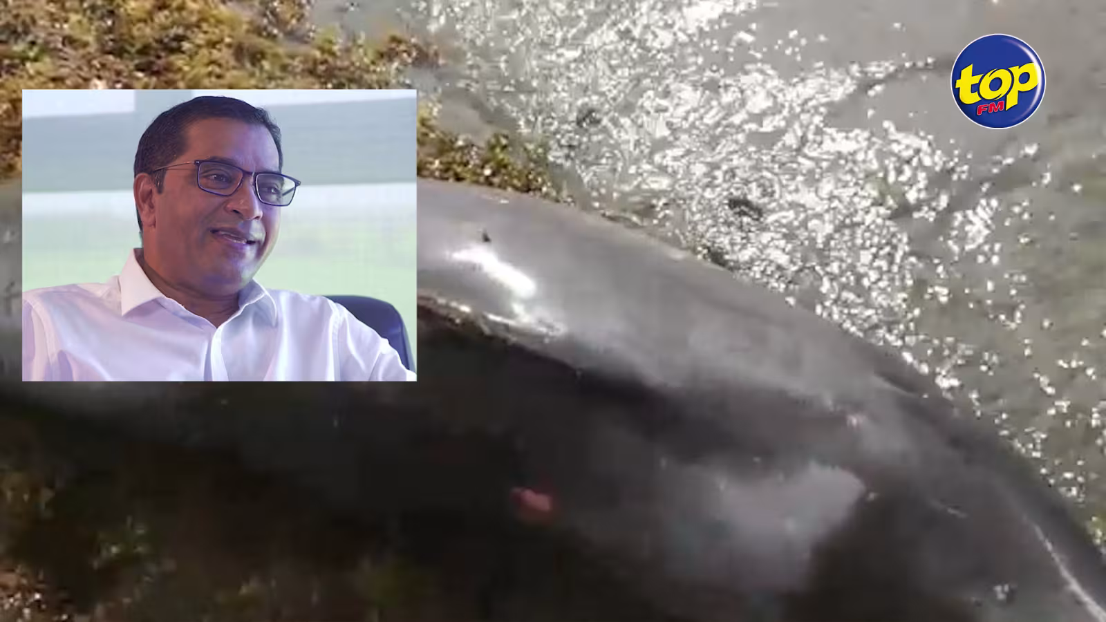 Mort de mammifères marins dans le Sud-Est : “L’air est pollué, il est important de faire des suivis pour déterminer les effets à long terme sur la santé humaine” avertit le Dr Farhad Aumeer