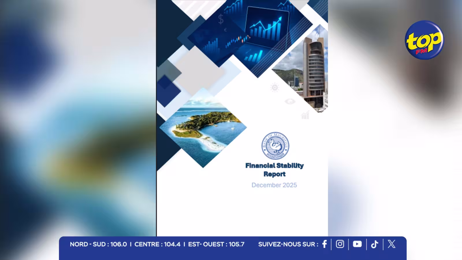 Financial Stability Report 2025