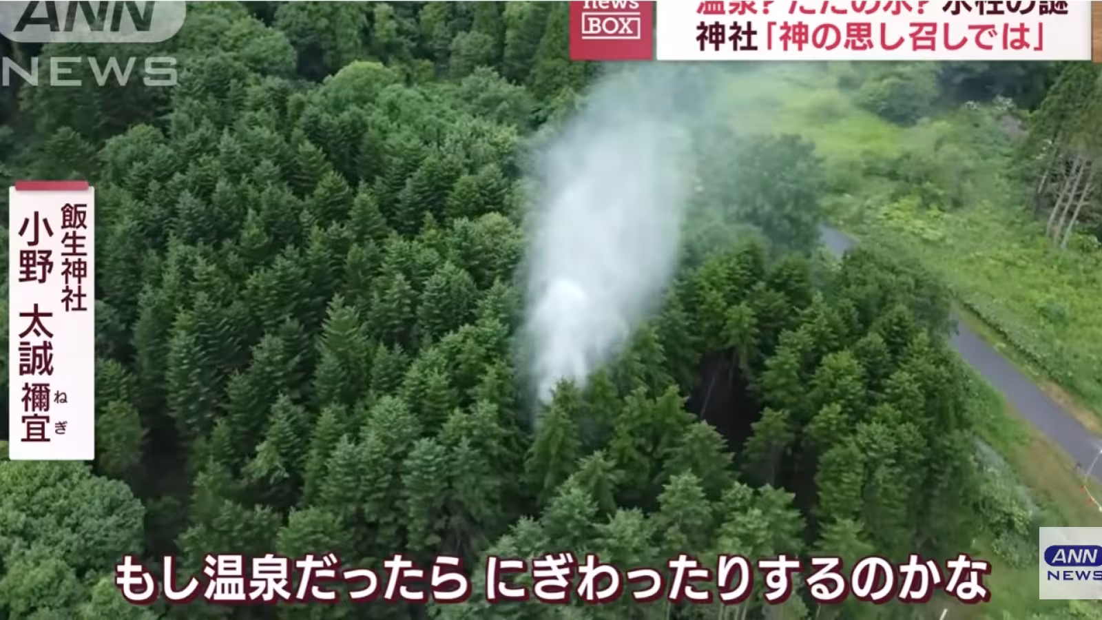 Un gigantesque geyser a jailli subitement du sol au Japon