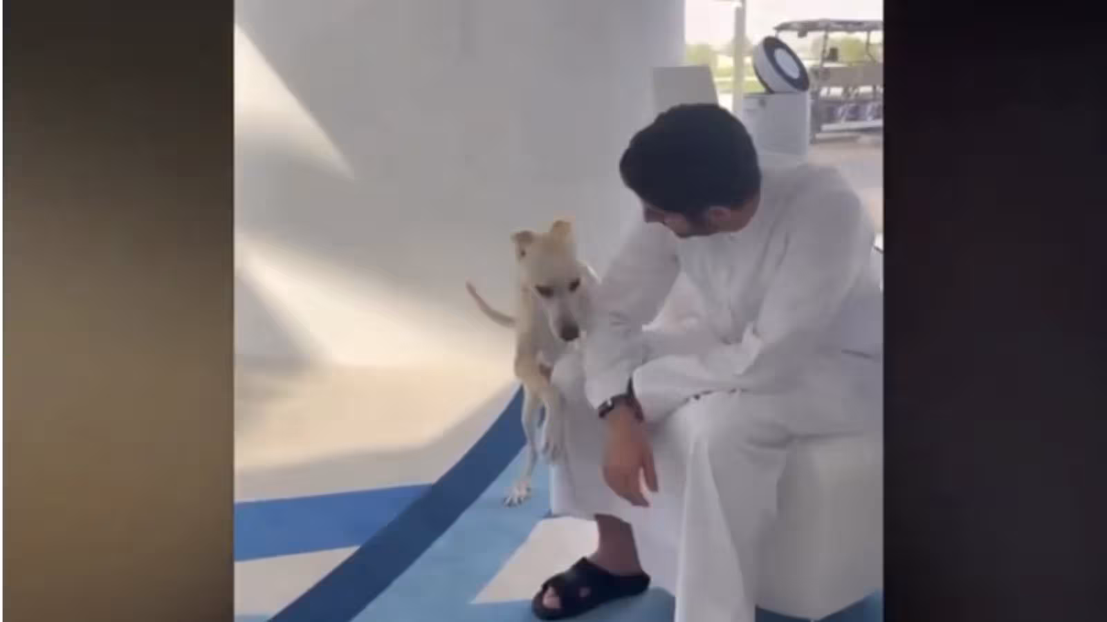 Le prince héritier de Dubaï, Cheikh Fazza, donne un exemple concernant le traitement des chiens