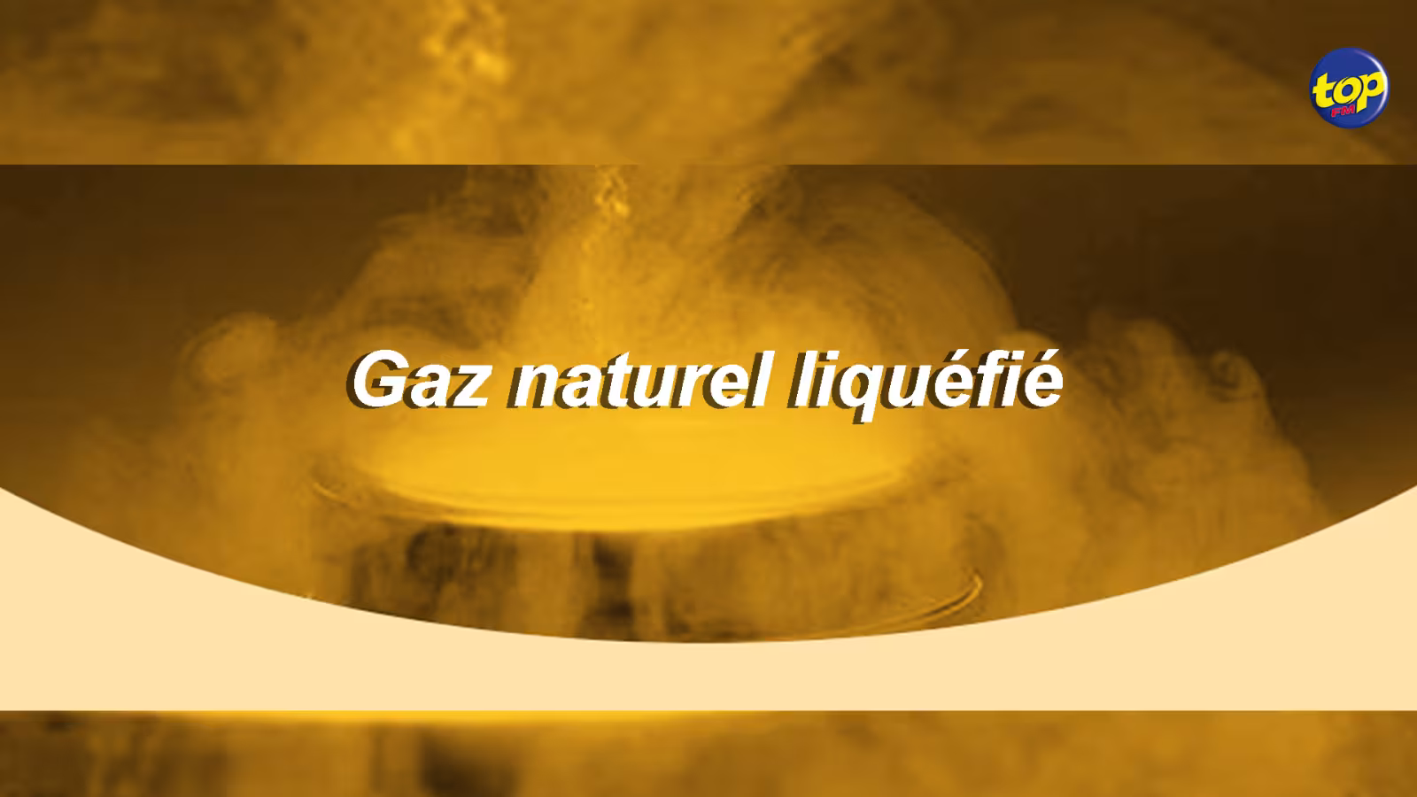 Gaz naturel liquéfié : Les services de Price Waterhouse Coopers India retenus pour une étude de faisabilité