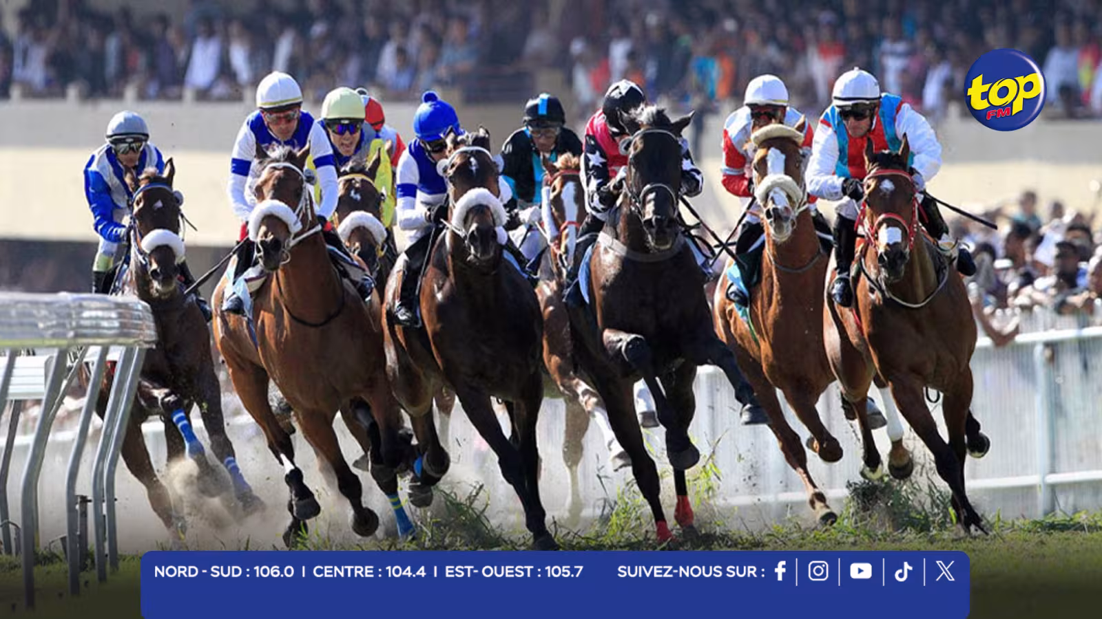 HIPPISME