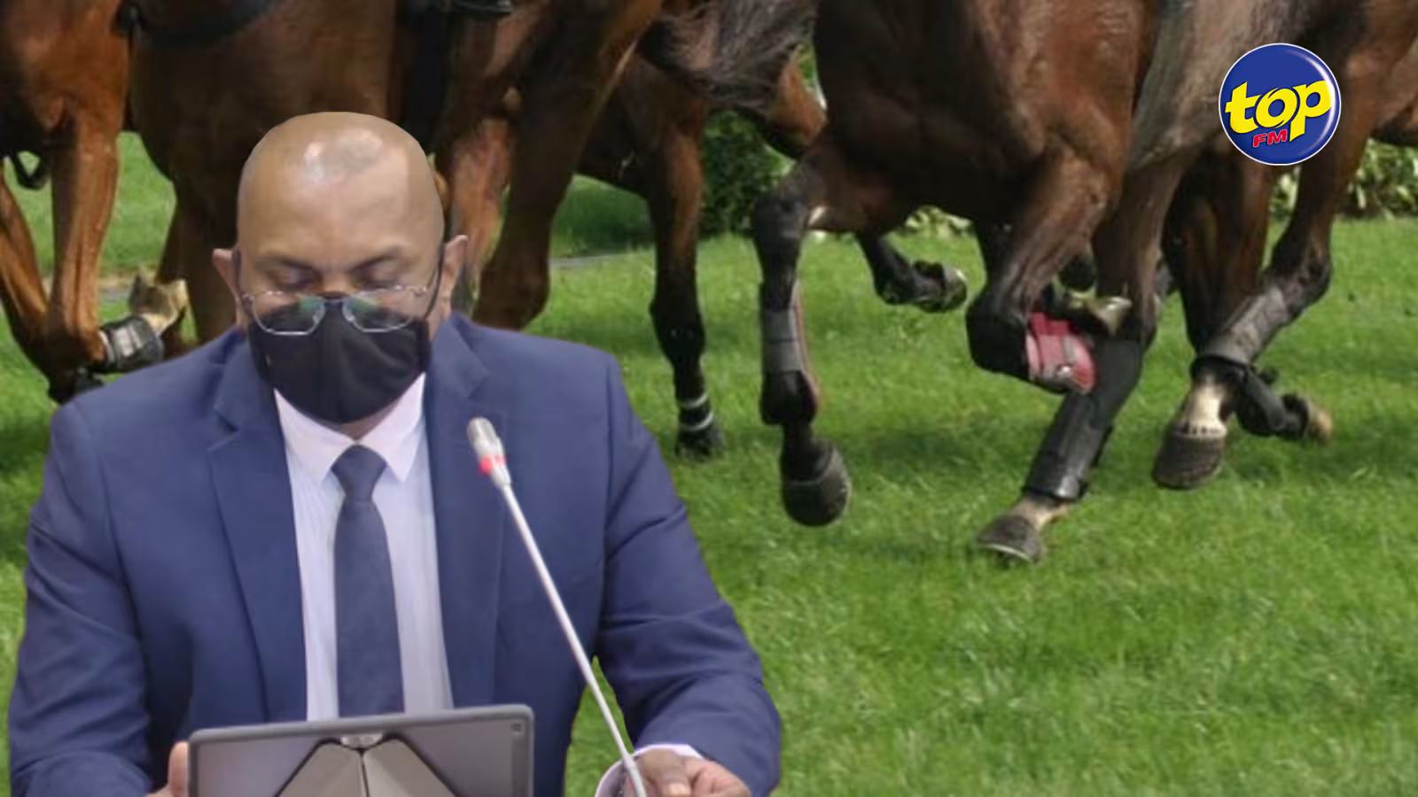 Hippisme : 88 chevaux importés pour la nouvelle saison hippique