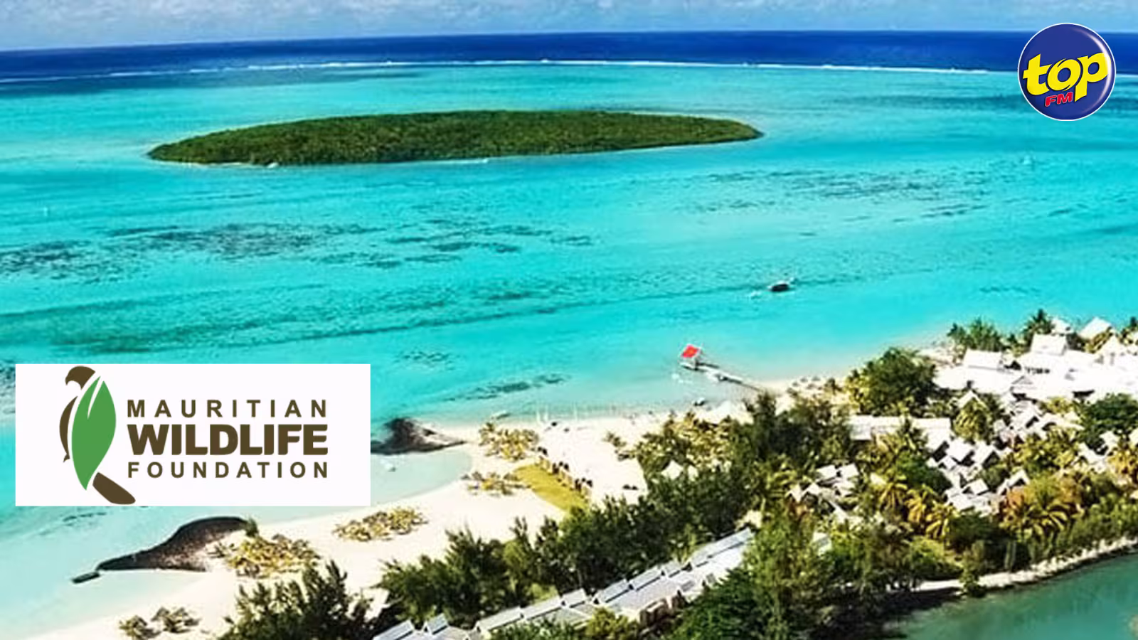 Fuite d’huile du Wakashio : impact sur la réserve naturelle à l’île aux Aigrettes prédit la Mauritian Wildlife Foundation.