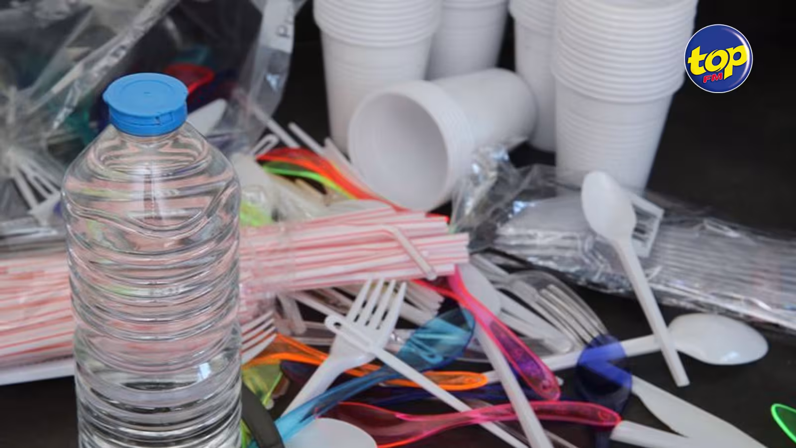 Interdiction du plastique à partir du 15 janvier 2021 : l’Acim insiste sur le respect de cette mesure