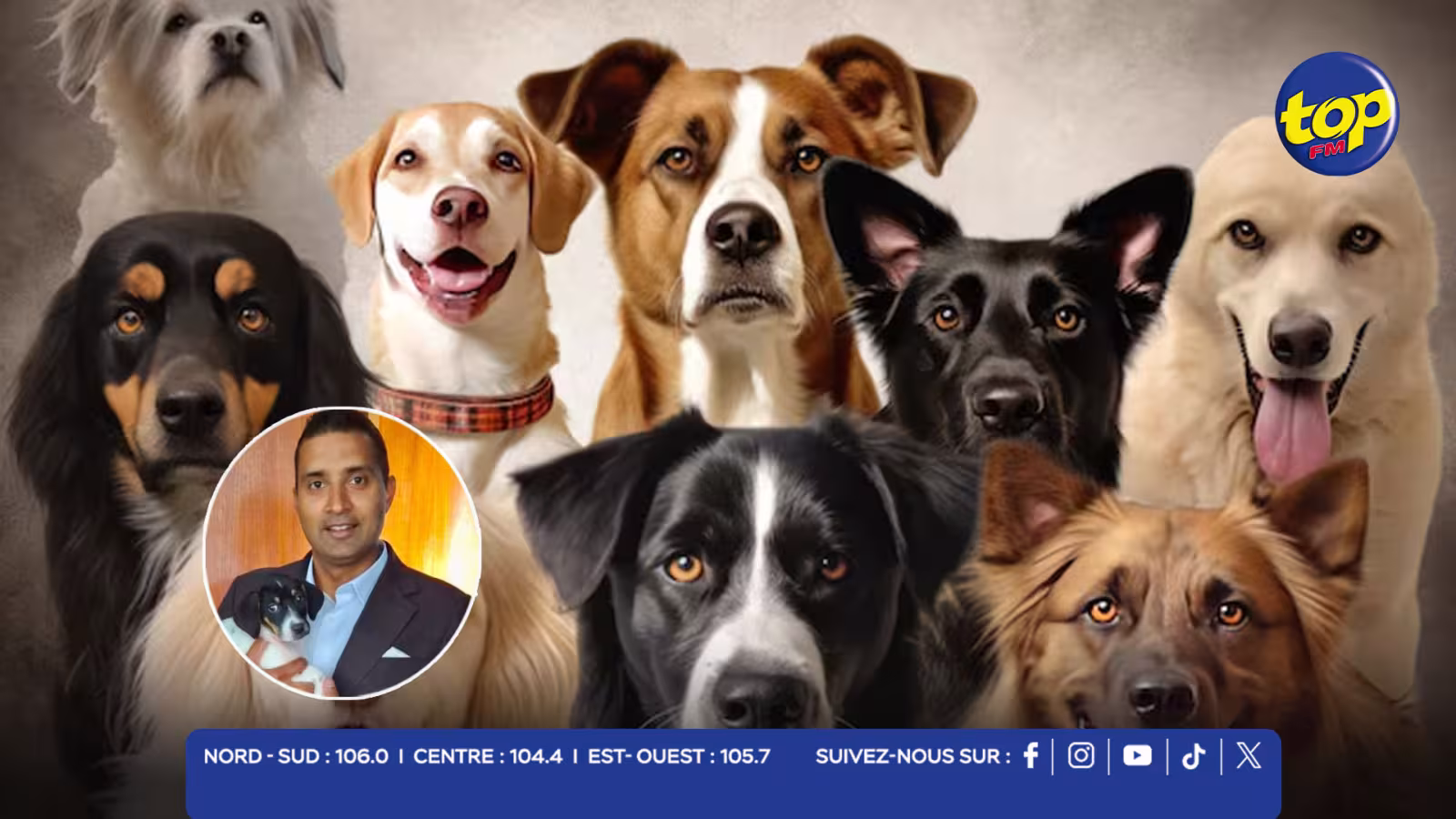 Journée internationale du chien