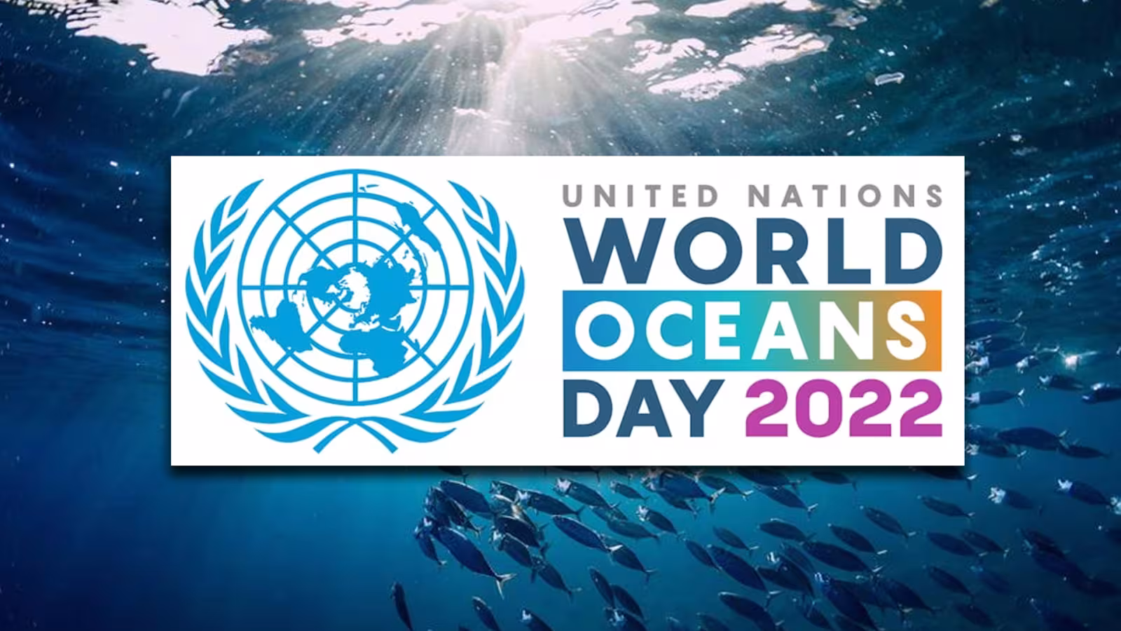 Journée mondiale des océans : « Notre zone économique exclusive pourrait être notre espoir dans la construction de notre résilience », soutient Vassen Kauppaymuthoo.