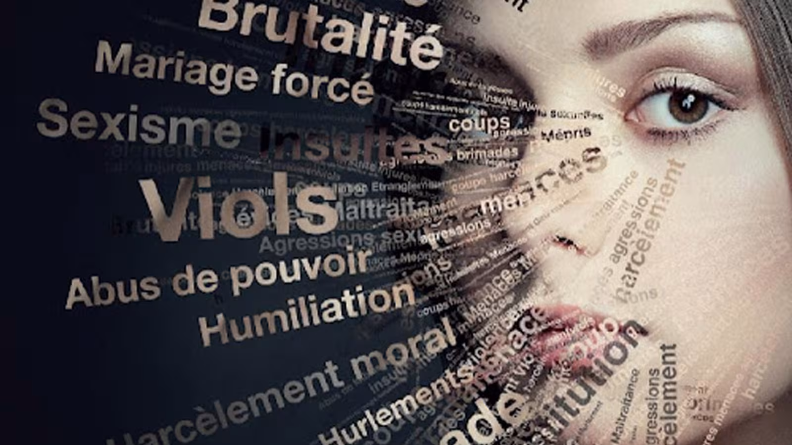 Journée internationale des droits de l’homme : une meilleure considération sur les situations aggravées des femmes qui sont victimes de violences verbales et physiques dans notre société, réclamée