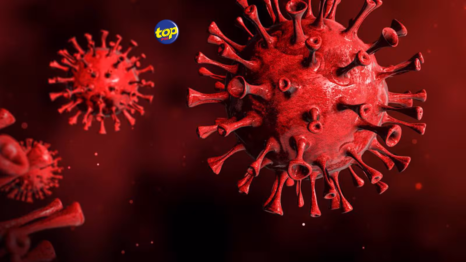 Khosta – 2, nouveau type coronavirus découvert chez les chauves-souris : ‘‘A ce stade, ils n’ont pas encore été testés ou prouvés nocifs chez l’homme, pas de panique !,’’ avise Shameem Jaumdally