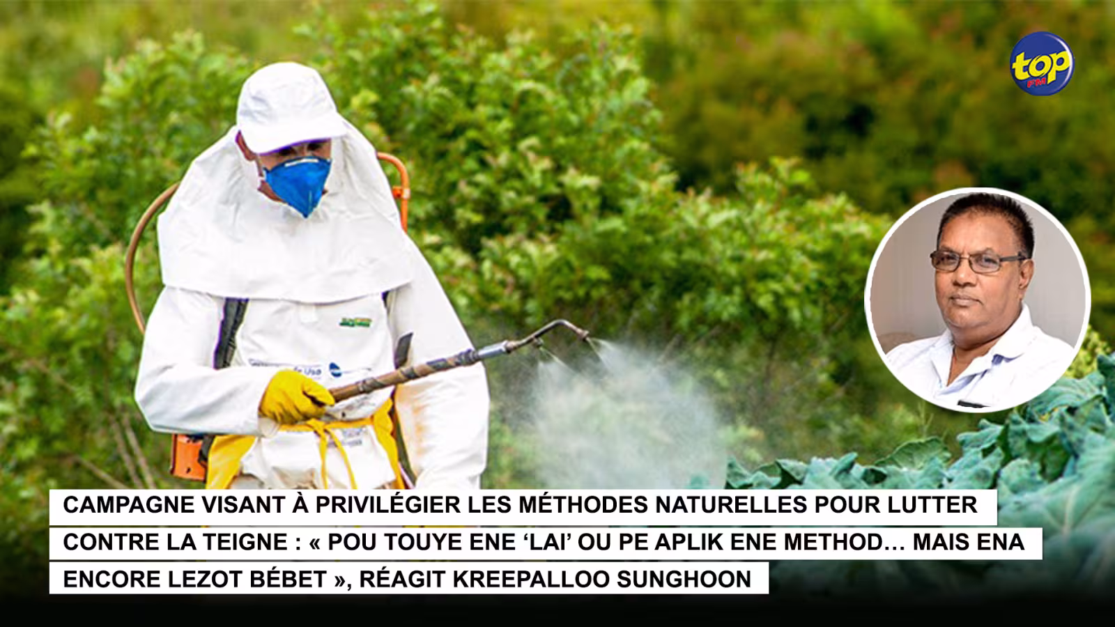 Campagne visant à privilégier les méthodes naturelles pour lutter contre la teigne : « Pou touye ene ‘lai’ ou pe aplik ene method… mais ena encore lezot bébet », réagit Kreepalloo Sunghoon 