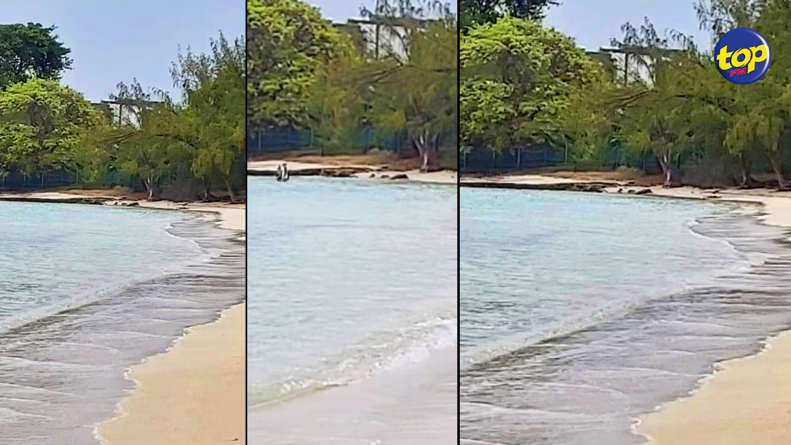 A la Preneuse : elle est priée par le propriétaire de quitter la plage qui se trouve juste en face de son bungalow