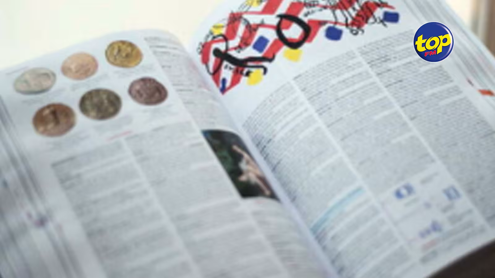 Larousse : que nous disent les nouveaux mots du dictionnaire « Greenwashing », « localisme », « antisexisme »