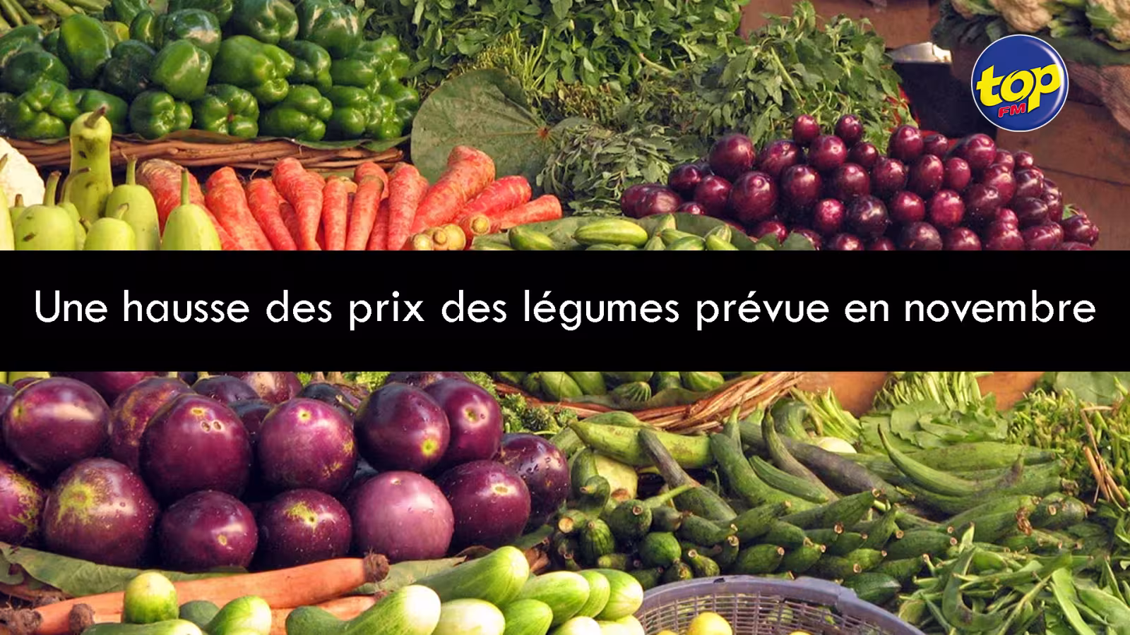 Si la déficience en eau persiste : les planteurs craignent une pénurie de légumes en février