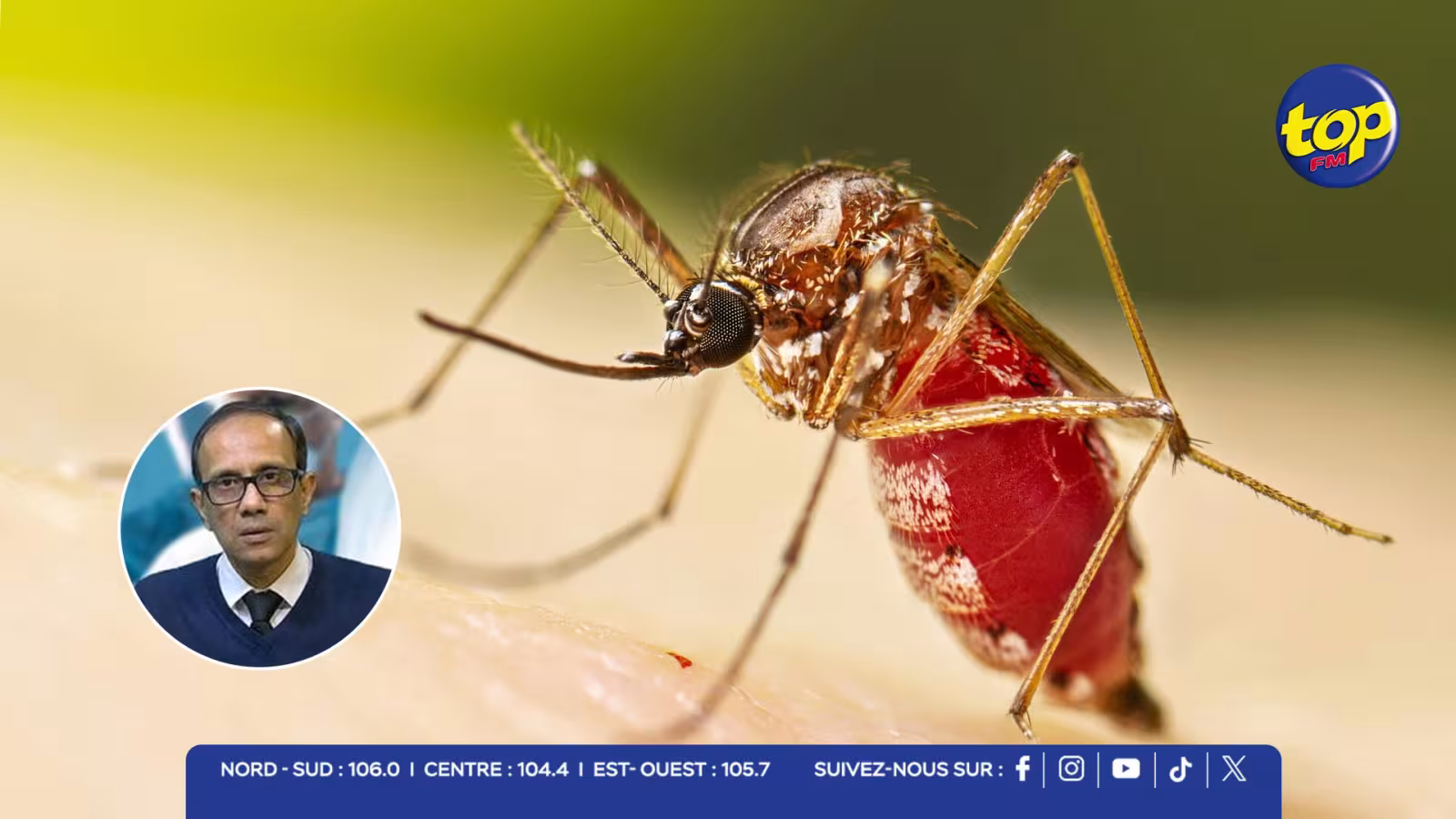 Santé : premier cas de chikungunya de l’année confirmé à Beau-Bassin, des opérations de fumigation débuteront dès ce mardi