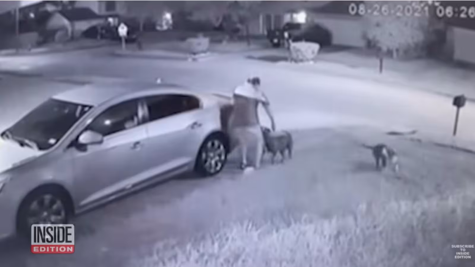 Arme à feu utilisée pour sauver un homme de la mort lors d’une attaque de pit-bulls