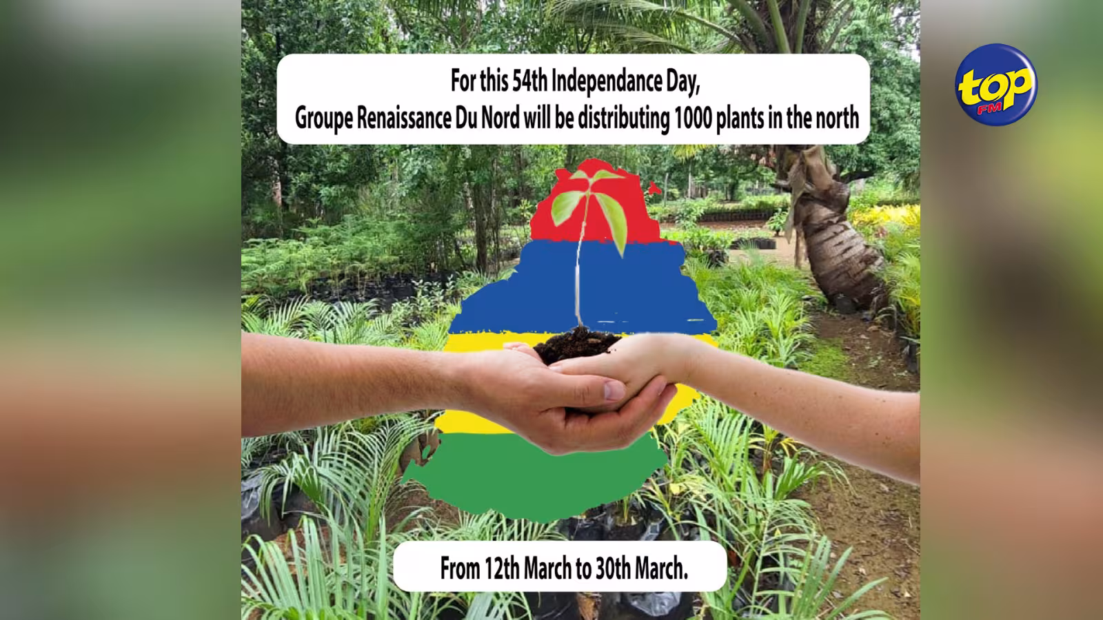 À l’occasion de la fête nationale : Le Groupe Renaissance du Nord procède à une distribution de plantes médicinales demain…