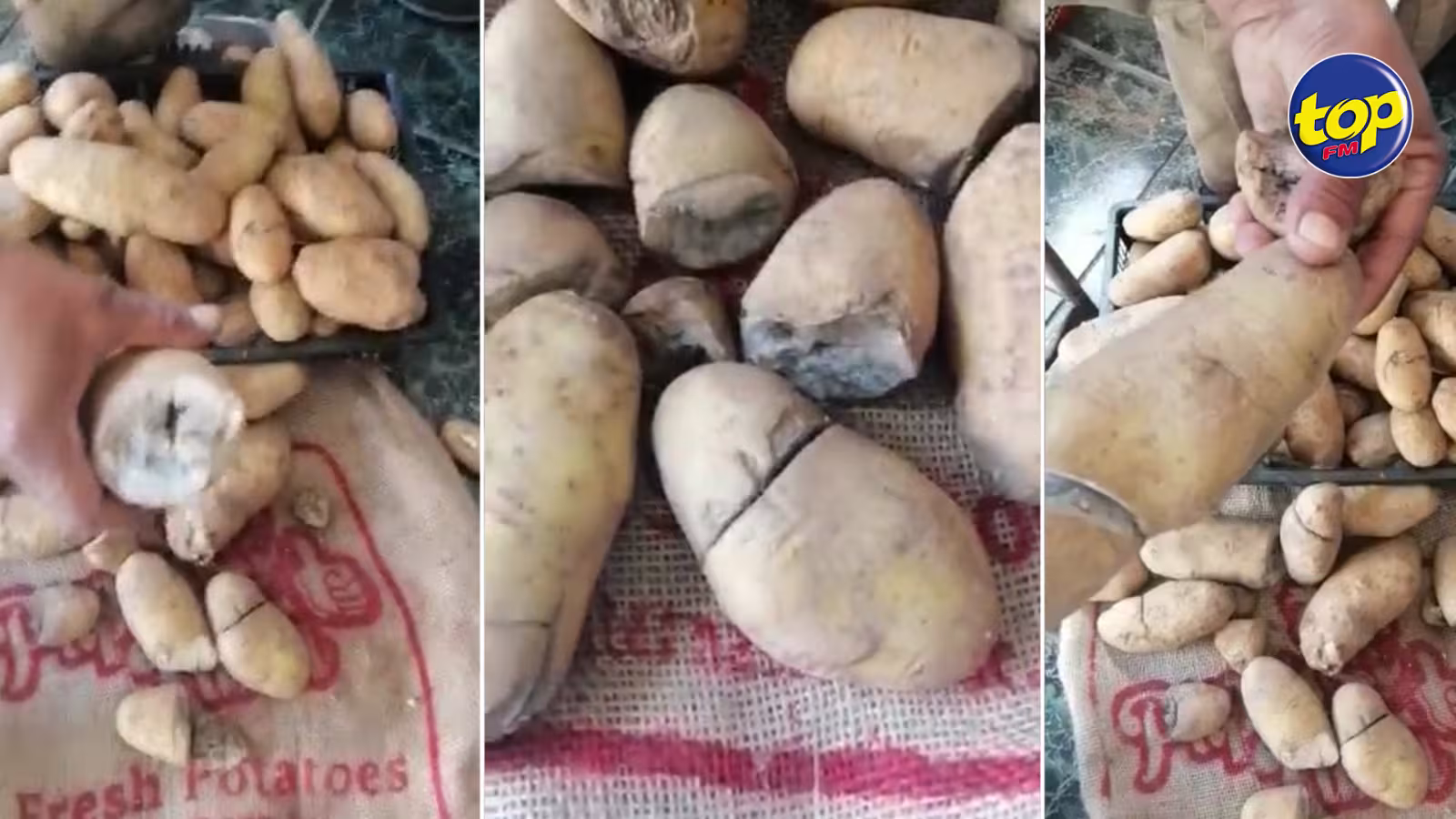 Alimentation : la qualité des pommes de terre en provenance de l’Inde questionnée