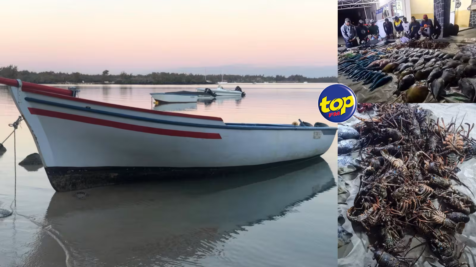 Pêche illégale Butte à l’herbe Grand-Gaube :  167 kg de poissons harponnés saisis, 8 individus interpellés